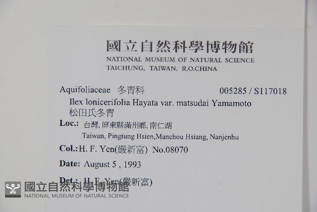 松田氏冬青藏品圖，第2張