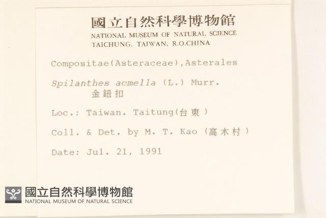 金鈕扣、鐵拳頭藏品圖，第2張