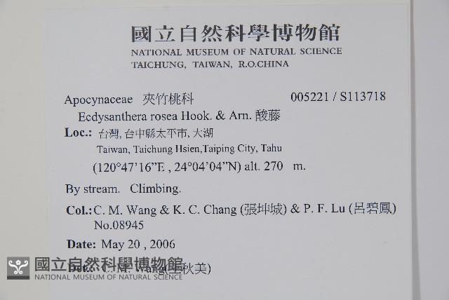 酸藤藏品圖，第2張