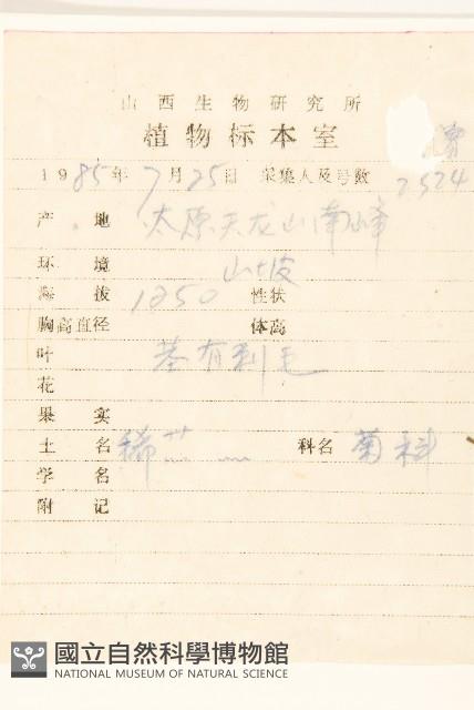 毛蓮菜藏品圖，第2張