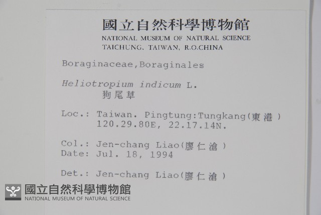 一枝香藏品圖，第2張