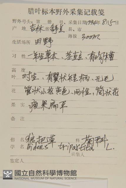 狼把草藏品圖，第2張