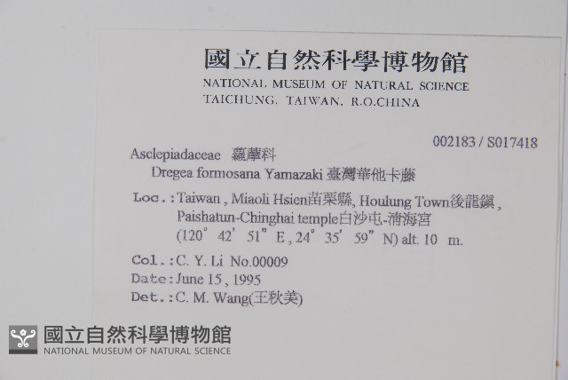 臺灣華他卡藤藏品圖，第2張