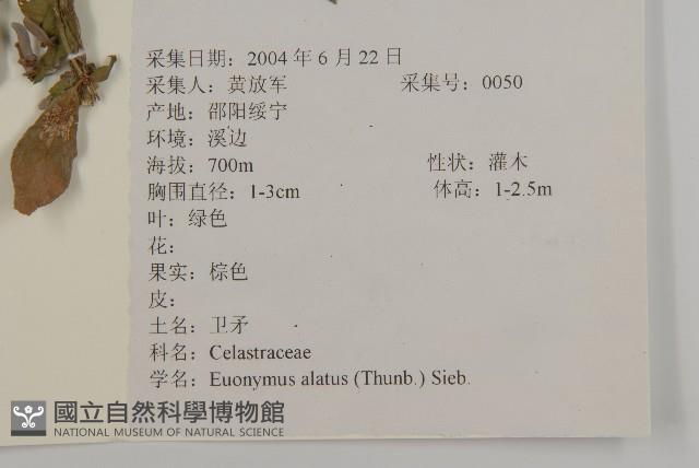 衛矛藏品圖，第2張