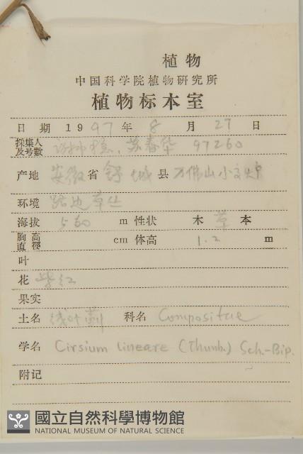 華薊藏品圖，第2張