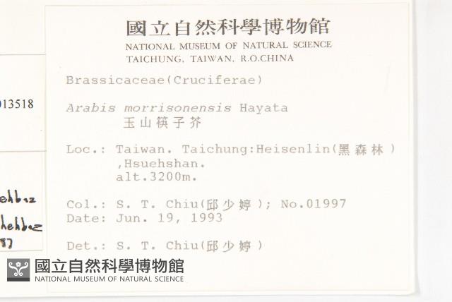 登錄號:S013518藏品圖，第2張