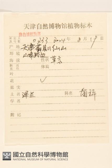 林氏澤蘭藏品圖，第2張