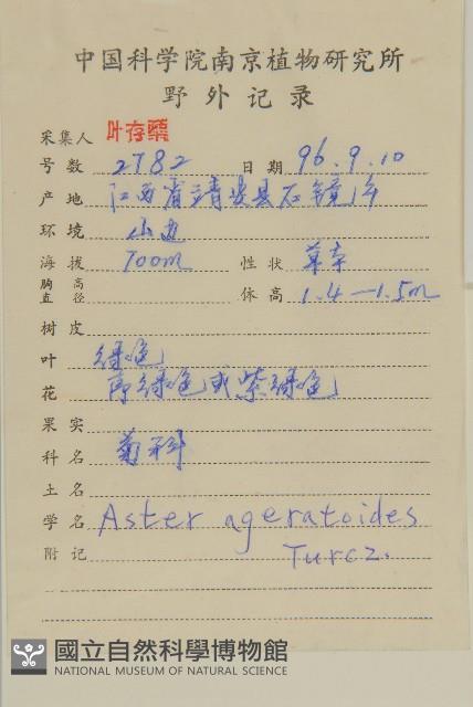 山白蘭藏品圖，第2張