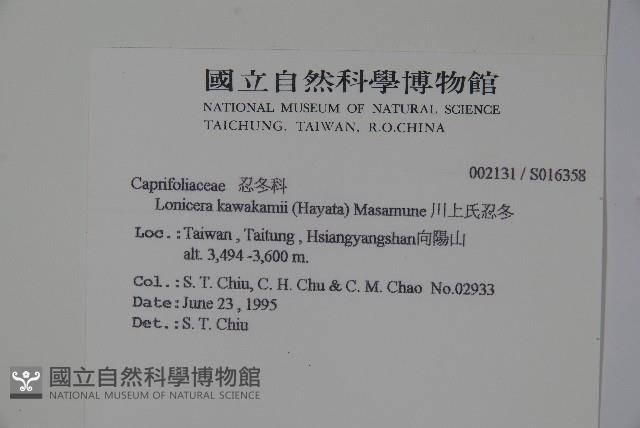 川上氏忍冬藏品圖，第2張