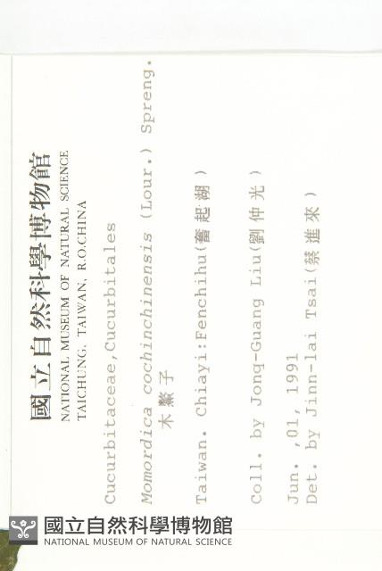 木鱉子藏品圖，第2張