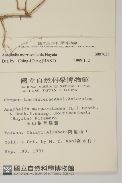 玉山抱莖籟簫藏品圖，第2張