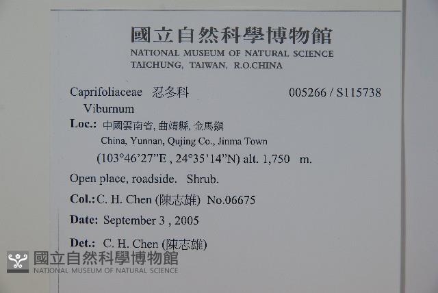 登錄號:S115738藏品圖，第2張