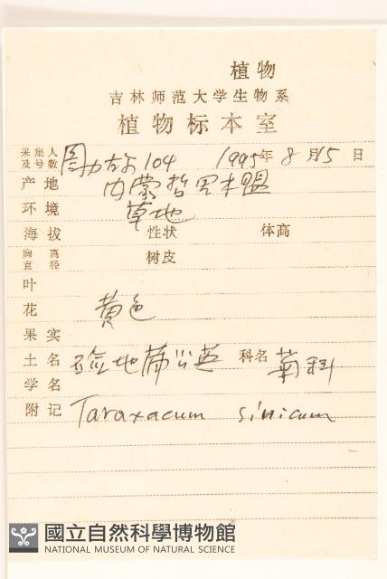 華蒲公英藏品圖，第2張