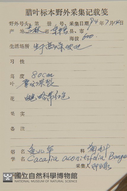 免兒傘藏品圖，第2張