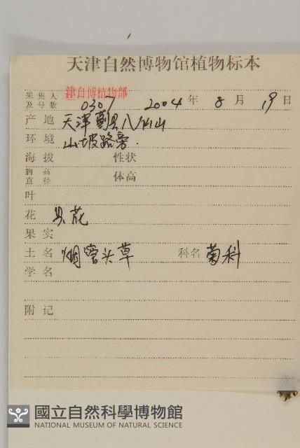 杓兒菜藏品圖，第2張