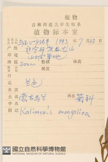 蒙古馬蘭藏品圖，第2張