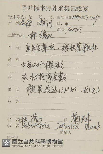 牡蒿藏品圖，第2張