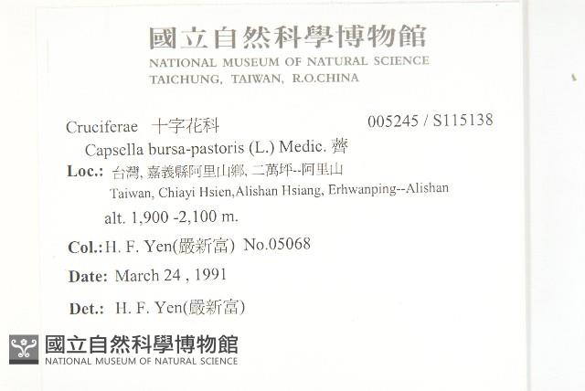 薺藏品圖，第2張