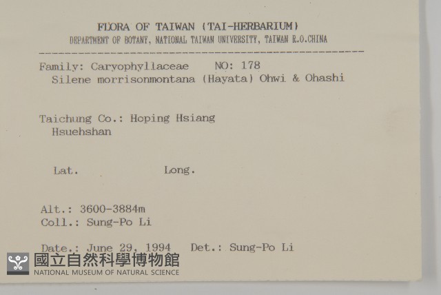 玉山蠅子草藏品圖，第2張