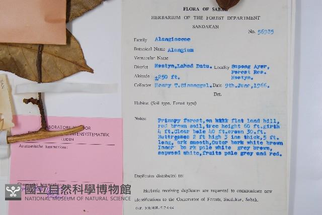 登錄號:S047138藏品圖，第2張