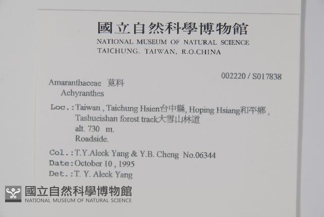 登錄號:S017838藏品圖，第2張