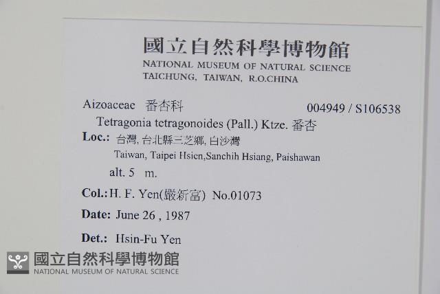 番杏藏品圖，第2張