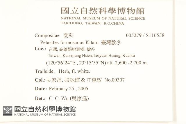 臺灣款冬藏品圖，第2張