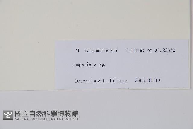 登錄號:S106068藏品圖，第2張