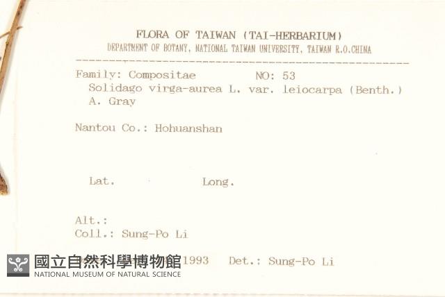 一枝黃花藏品圖，第2張