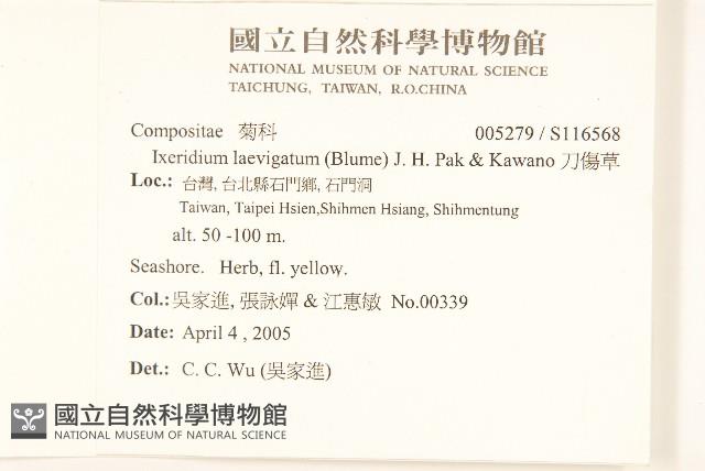 刀傷草藏品圖，第2張