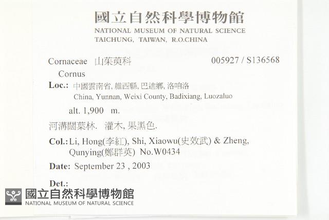 登錄號:S136568藏品圖，第2張