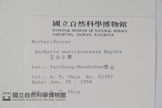 玉山小蘗藏品圖，第2張