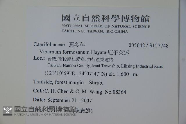 紅子莢迷藏品圖，第2張