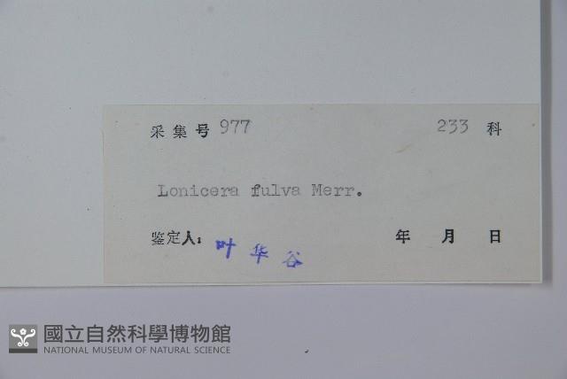 登錄號:S037748藏品圖，第2張