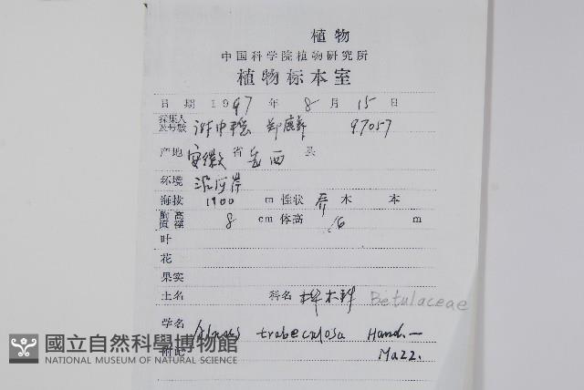 江南榿木藏品圖，第2張