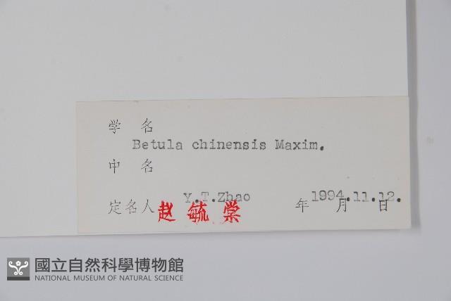 堅樺藏品圖，第2張