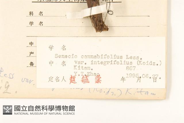 登錄號:S026448藏品圖，第2張