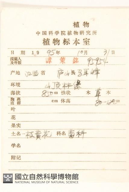 一枝黃花藏品圖，第2張