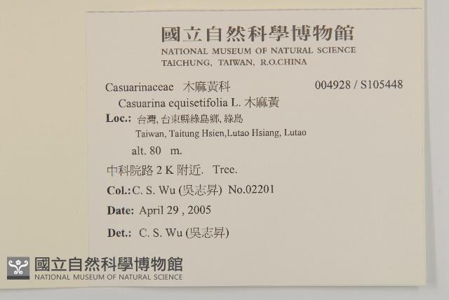 木麻黃藏品圖，第2張