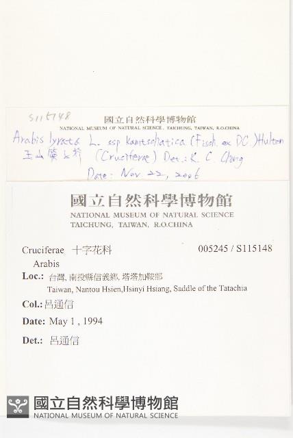 玉山筷子芥藏品圖，第2張