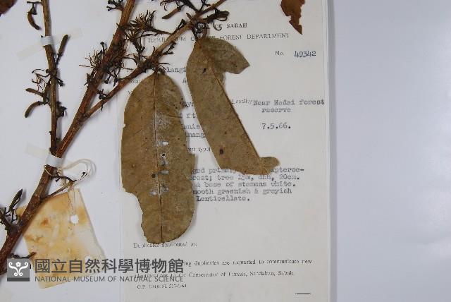 登錄號:S047148藏品圖，第2張