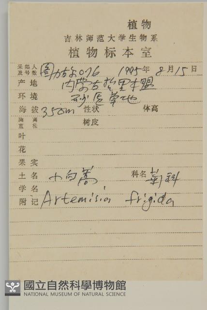 冷蒿藏品圖，第2張