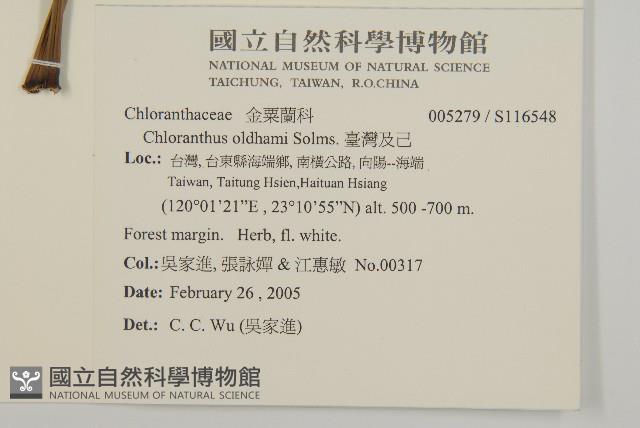 臺灣及己藏品圖，第2張