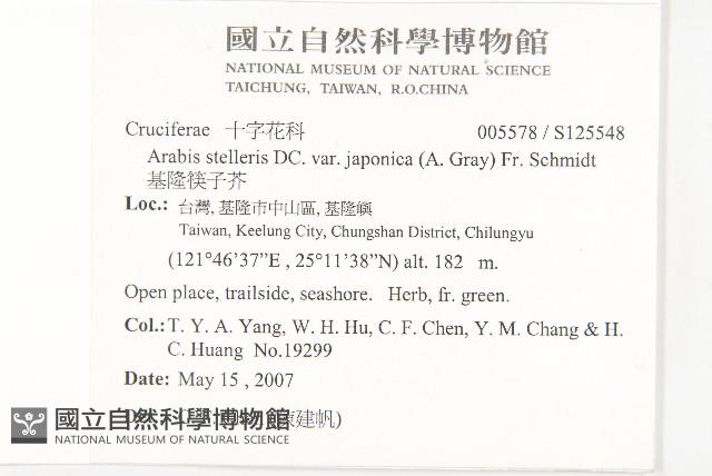 基隆筷子芥藏品圖，第2張