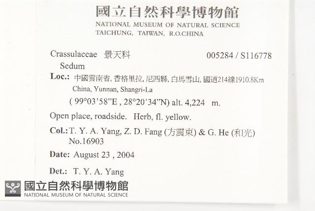 登錄號:S116778藏品圖，第2張