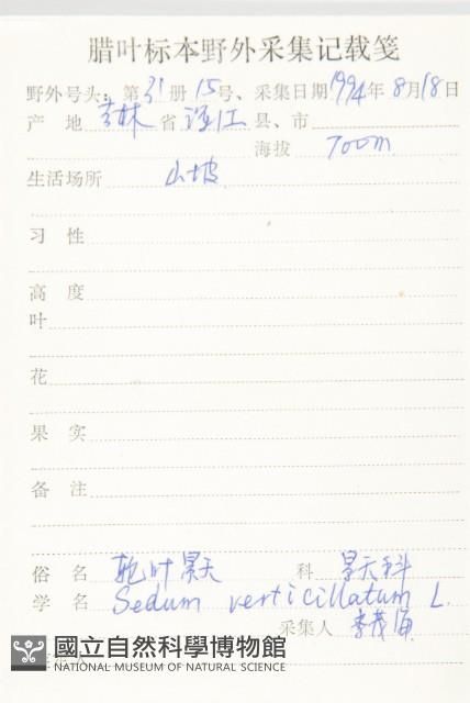 輪葉景天藏品圖，第2張