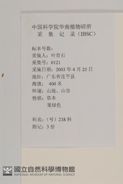 鱧腸藏品圖，第2張