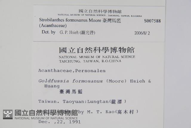 臺灣馬藍藏品圖，第2張