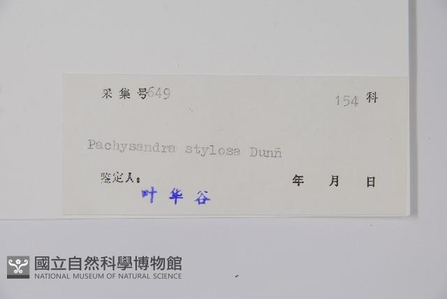 宿柱三角咪藏品圖，第2張