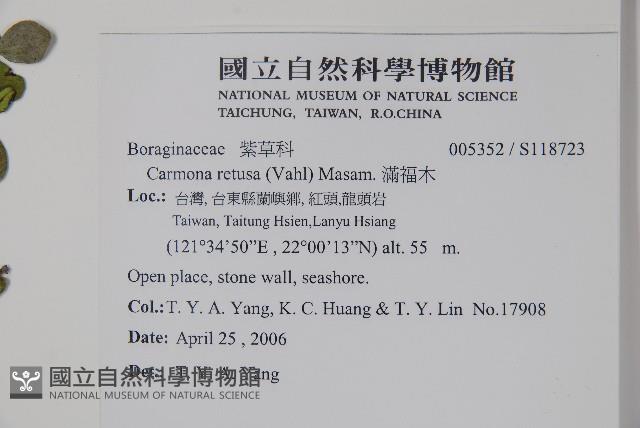 滿福木藏品圖，第2張